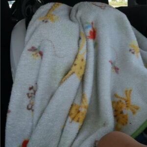 DESPERATELY ISO: Fisher Price baby blanket